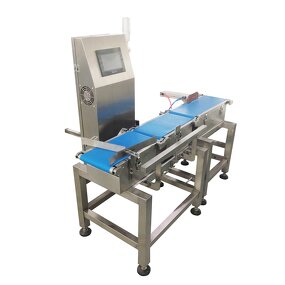 Check Weigher - Belt Conveyor In Line Weighers Baskets