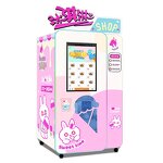Soft Ice Cream Vending Machine - Automatic for Schools
