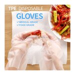 TPE Gloves Manufacturer - 2023 Custom Blue Disposable Medium for Kids Home Wash Cleaning Summer Winter Use
