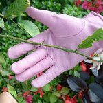 Garden Gloves - Wholesale Leather for Women & Men