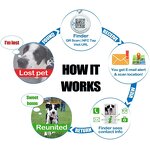 NFC Keychain Manufacturer - Custom Social Media Epoxy Key Ring