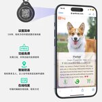 Pet Collar Manufacturer - Custom Anti-Lost NFC Dog Tag OEM/ODM