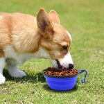 Collapsible Dog Bowl Manufacturer - Eco-Friendly Durable for Outdoor
