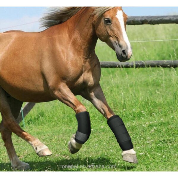 Horse Leggings Manufacturer - Protective Leg Cover Supplier