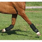 Horse Leggings Manufacturer - Protective Leg Cover Supplier