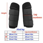 Horse Tendon Leg Sleeve Manufacturer - Racing Boots Supplier