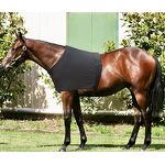 Horse Tendon Leg Sleeve Manufacturer - Racing Boots Supplier