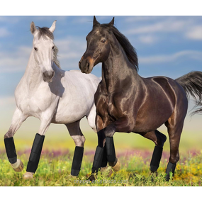 Horse Tendon Leg Sleeve Manufacturer - Racing Boots Supplier