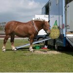 Horse Slow Feeder Net Manufacturer - Hay Bag Supplier