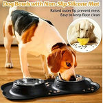 Pet Feeder Manufacturer - Silicone Double Bowl