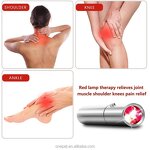 Red Light Therapy Lamp Manufacturer - Horse Care Equipment