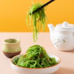 盐渍裙带菜生产商-保鲜裙带菜健康餐食零食