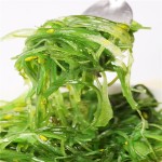 干海藻源头工厂-代工调味汤炖菜添加