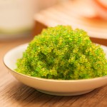 飞鱼籽生产商-冷冻绿芥末鱼子酱日式