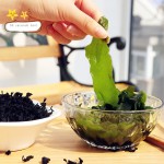 干裙带菜生产商-热销营养火锅菜肴