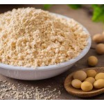 In Shell Walnuts Manufacturer - Bulk Kernels Daily Nutritional