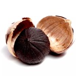 Seafood Snacks Factory - Professional High Protein Charcoal Roasted