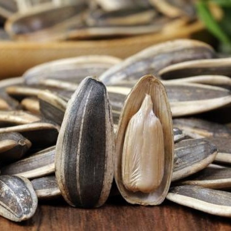 Big Octopus Factory - OEM&ODM Premium Grilled Skewers Legs