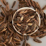 Big Octopus Factory - OEM&ODM Premium Grilled Skewers Legs