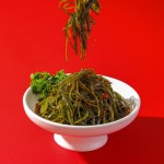 天然昆布生产商-亚洲料理寿司配料批发