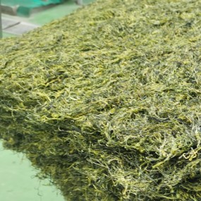 YUMMYTO Wrappers Manufacturer - OEM Hot Sale Brand Restaurant