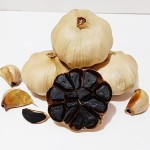 冷冻磷虾生产商-高品质寿司菜单批发