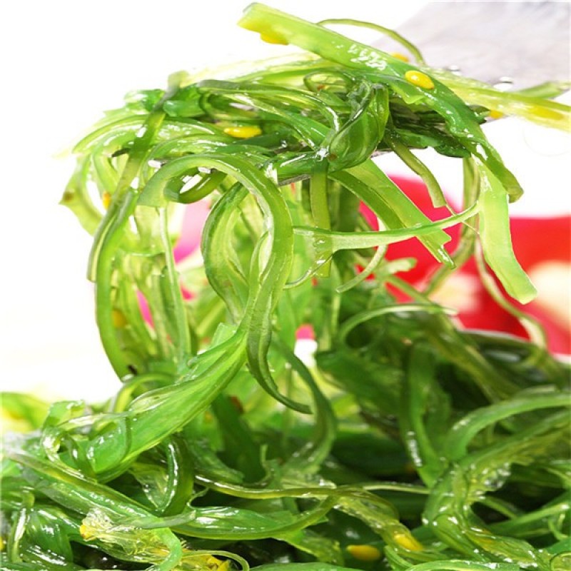 Salted Wakame Manufacturer - Preserved Undaria Healthy Meals Snacks