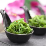 海藻沙拉源头工厂-可食用调味裙带菜中华沙拉