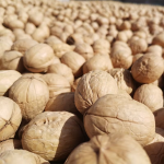 豆纸生产商-多色豆乳包装纸