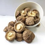 味精生产商-厂家批发食品级99%无盐