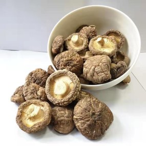 MSG Manufacturer - Factory Wholesale Food Grade 99% No Salt