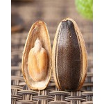 章鱼腿源头工厂-新鲜冷冻海鲜脚销售