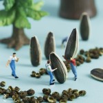 Big Octopus Factory - OEM&ODM Premium Grilled Skewers Legs