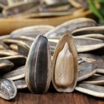 Instant Seafood Snacks Factory - Premium Sauced Okra Culinary
