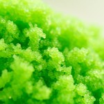 明太子生产商-调味鳕鱼籽烤物配料