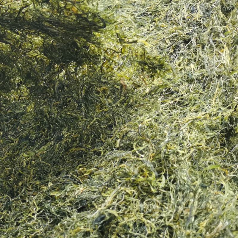 Colored Soybean Wrap Factory - Tofu Skin Bean Curd Food Service