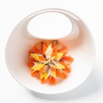 Salted Kelp Manufacturer - Traditional Japanese Bento Box Addition