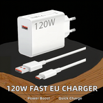 Fast Charger Manufacturer - 120W Super Fast with QC3.0 OVP