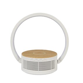 Wireless Charger Speaker Manufacturer - RGB Warm White Light