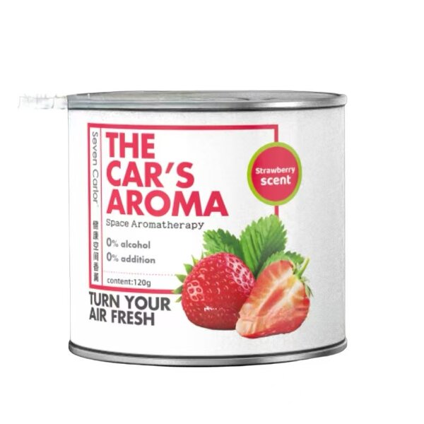 Car Aroma Diffuser Manufacturer - Creative Solid Fragrance