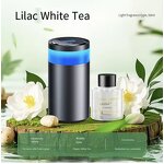 Car Air Freshener Manufacturer - Aurora Blue Flame Automatic