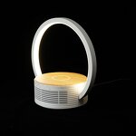 Wireless Charger Speaker Manufacturer - RGB Warm White Light