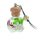 Car Perfume Pendant Manufacturer - Long Lasting Essential Oil