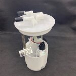 Fuel Pump Assembly Manufacturer - for ECOSPORT KUGA Maverick