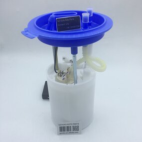 Fuel Pump Assembly Supplier - Original Plastic for Octavia