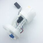 Fuel Pump Assembly Supplier - for Fiesta FUSION FIESTA Ikon