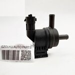 Purge Control Valve Manufacturer - for PICANTO TA I10