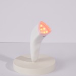 Beauty Equipment Manufacturer - Skincare Wand Red Light Therapy