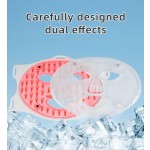 Ice LED Mask Factory - Built-in Battery 4 Wavelength Therapy