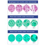 Microscope Manufacturer - 2500X 1600x Digital Camera USB LED Magnifier